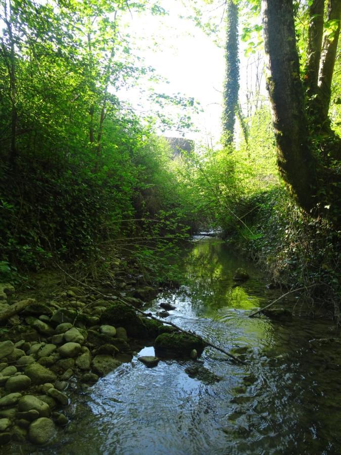 La Chambre Des Carrelets Montigny-sur-l'Ain Dış mekan fotoğraf
